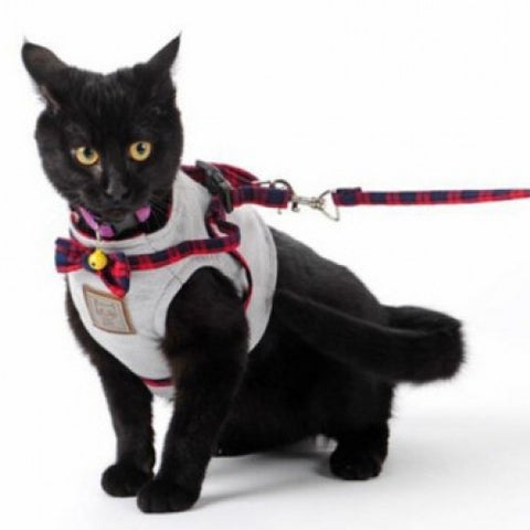 Pet Accessories